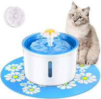 cat fountain