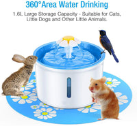 cat fountain water bowl